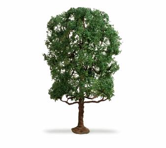 252002 Noch Kastanie 20105.jpg